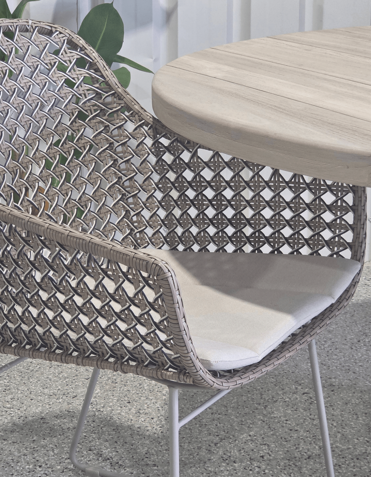 Mollymook Dining Armchair