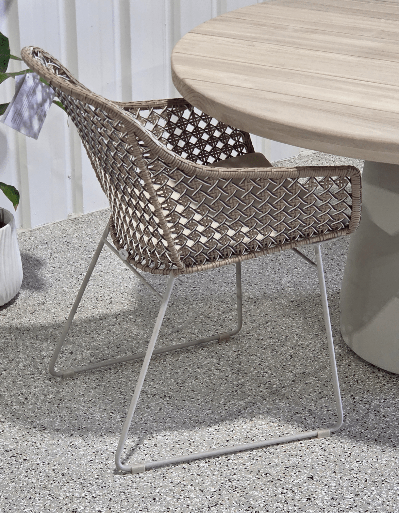 Mollymook Dining Armchair