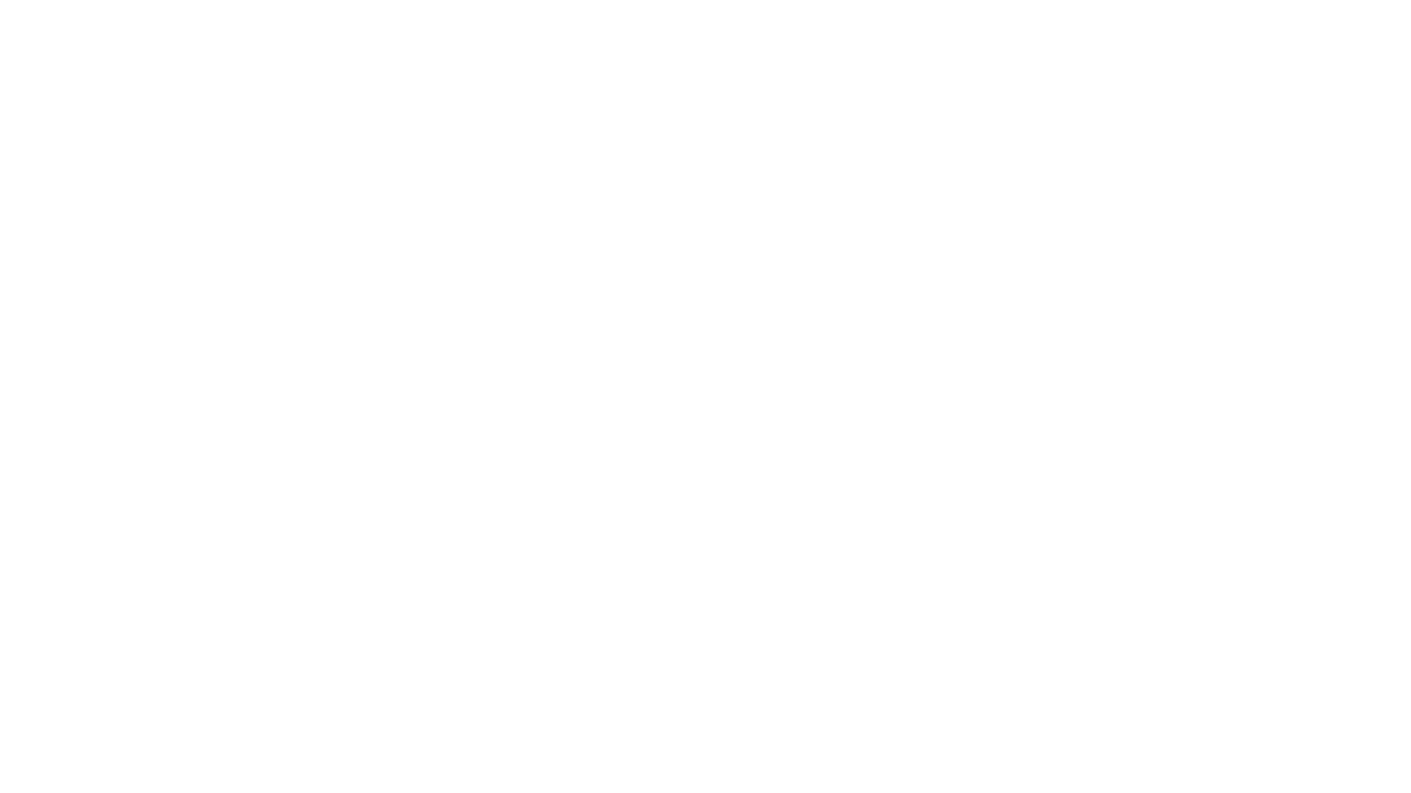 Sissonne Outdoor logo white with transparent background